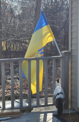 Fly Breeze 3x5 Foot Ukraine Coat of Arms Flags photo review