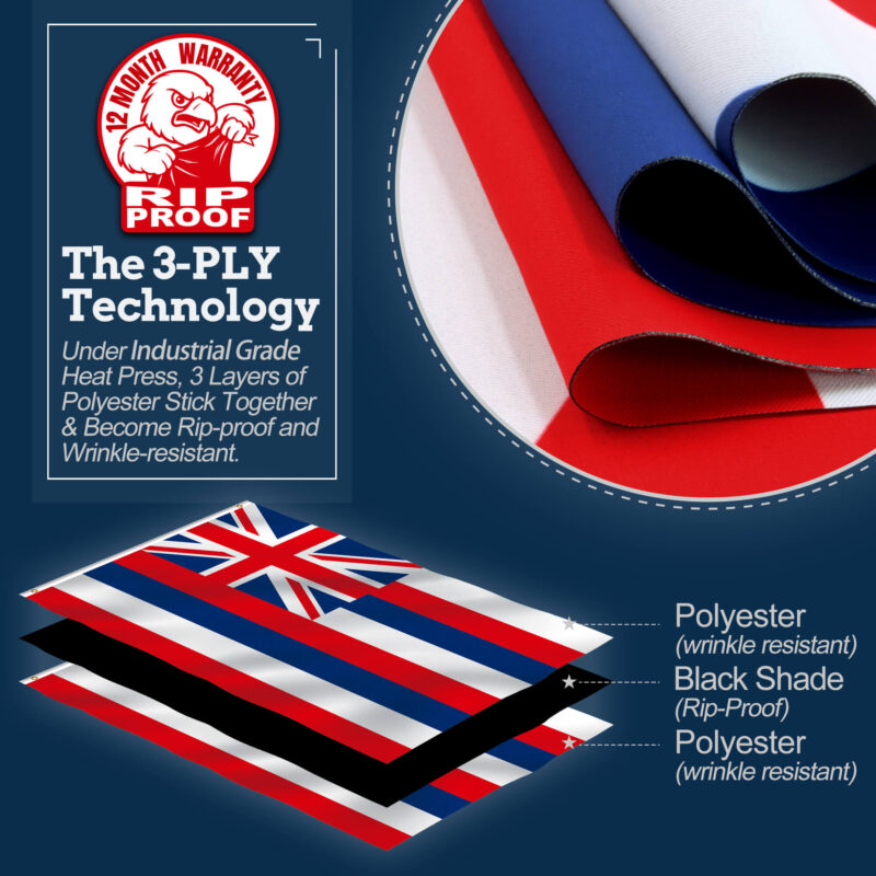 Hawaii Flag