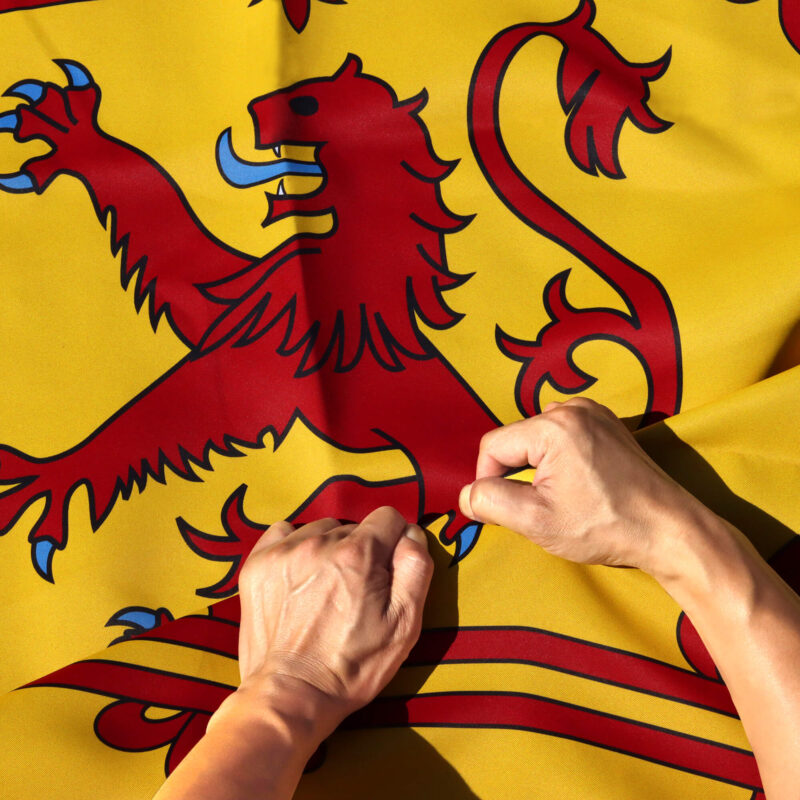 Rip-Proof Technology Double Sided 3-Ply Scotland Rampant Lion Flag 3×5 Foot
