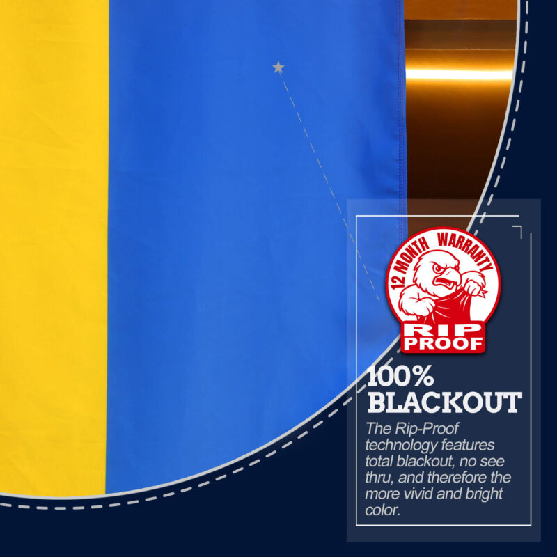 Ukraine Flag