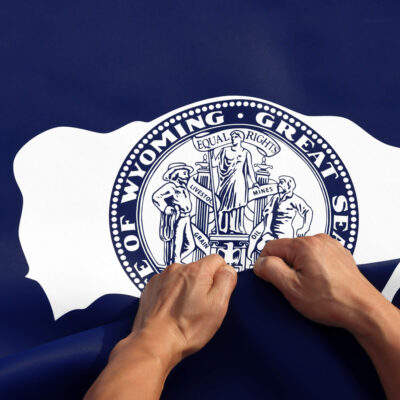 Rip-Proof Technology Double Sided 3-Ply Wyoming State Flag 3×5 Foot
