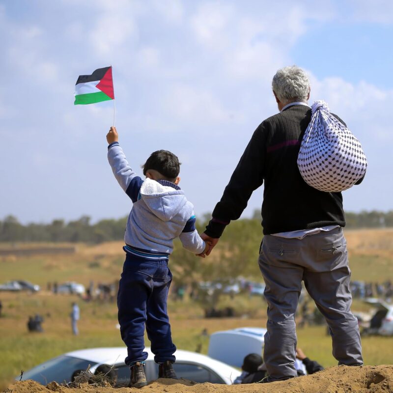 Palestine Mini Flag
