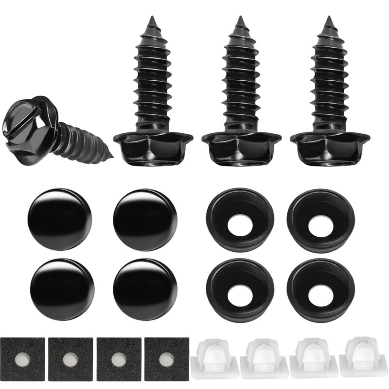 License Plate Screws Kit
