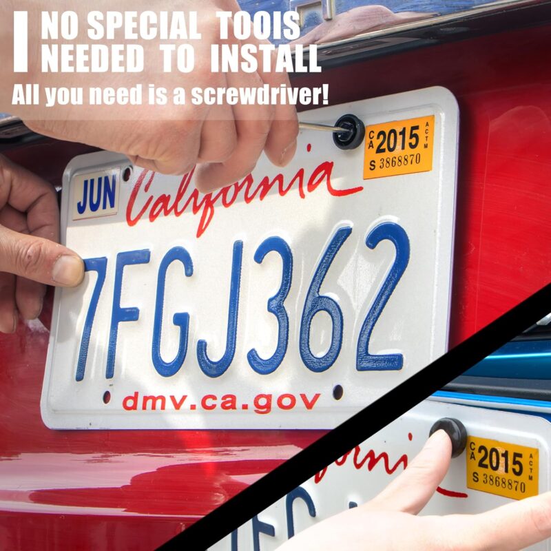 License Plate Screws Kit