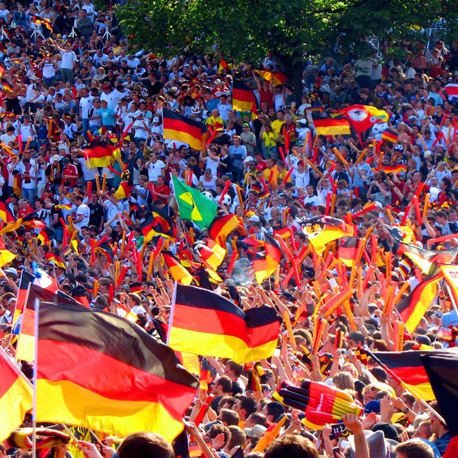 4 Feet Telescopic Handheld Flagpoles