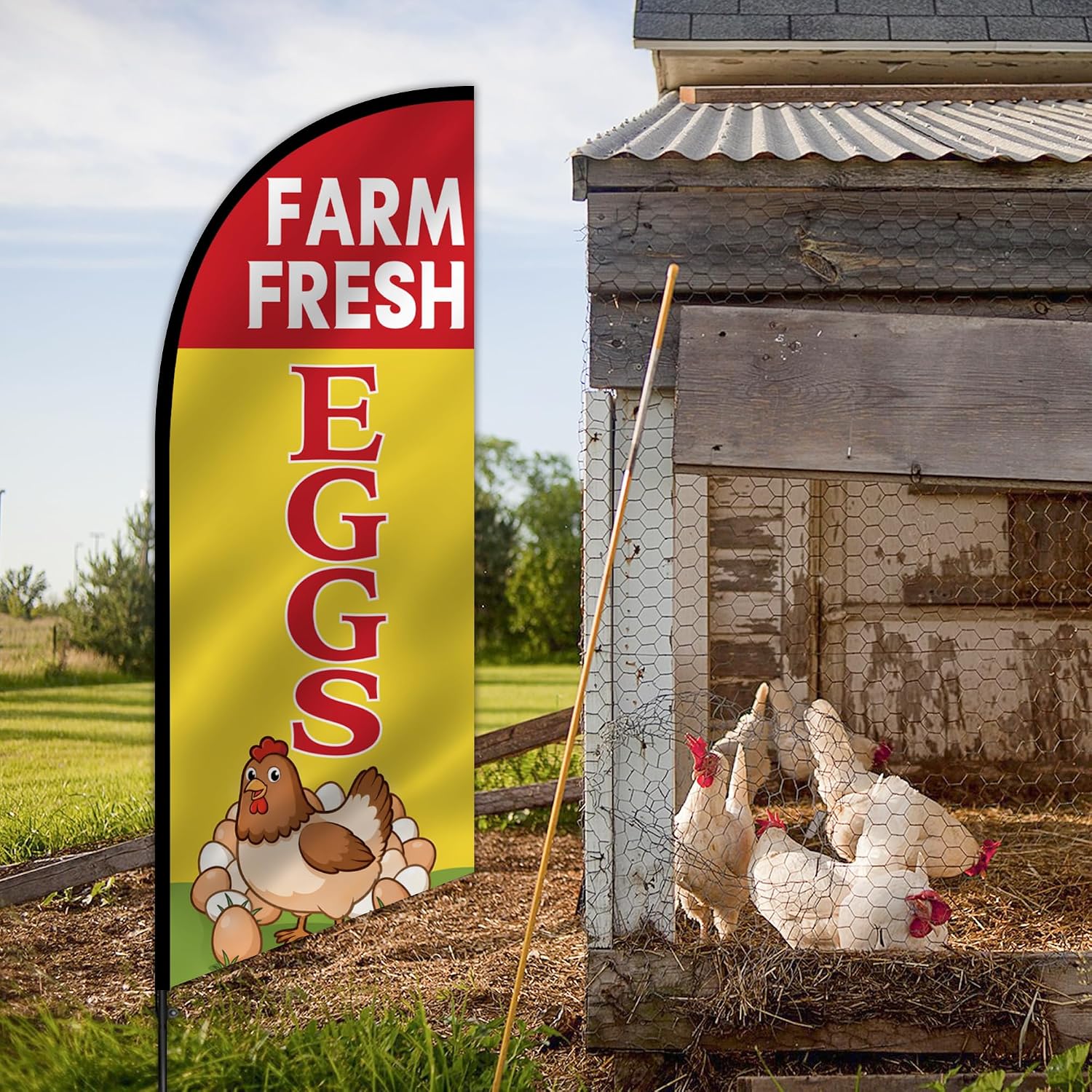 Farm Fresh Eggs Feather Flag