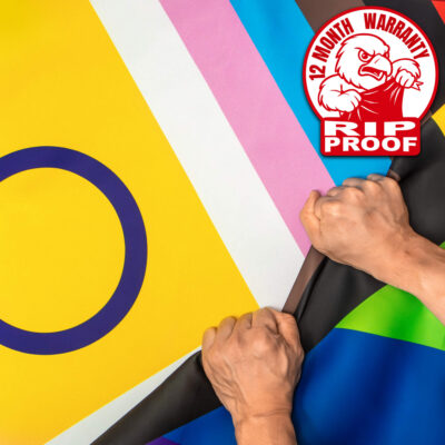 New Intersex Inclusive Progress Pride Flag